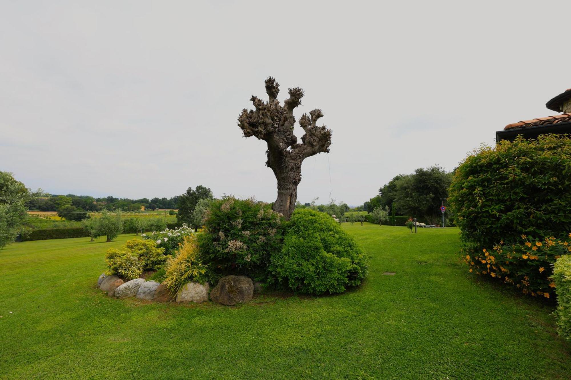Villa Cristina Villa Pedergnano Dış mekan fotoğraf
